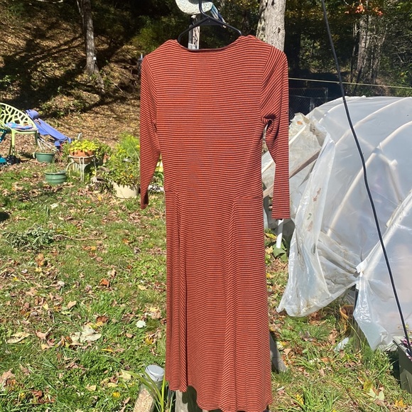 🎃Signature by Robbie Bee Striped Knit Lined Dress - Picture 5 of 8